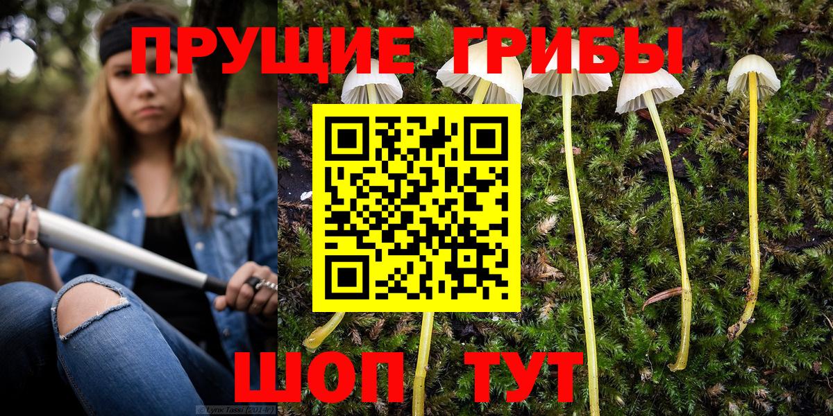 Галлюциногенные грибы мухоморы Бугуруслан