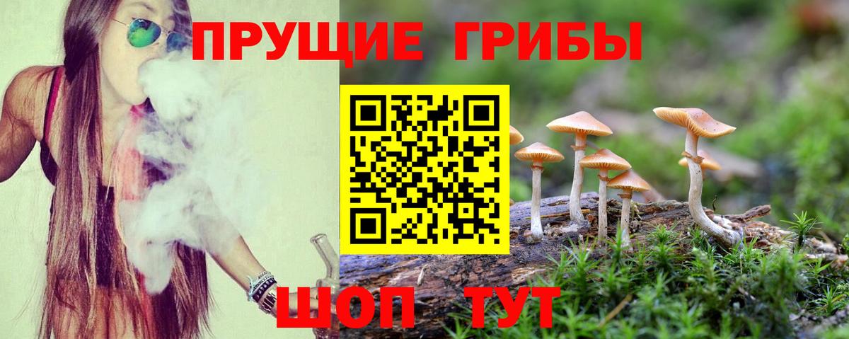 Бугуруслан  цены   Вход с VPN  Псилоцибиновые грибы MAGIC MUSHROOMS  Галлюциногенные грибы Cubensis 
